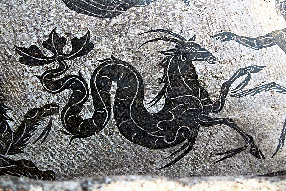 Ostia Antica Mosaico Terme di Nettuno