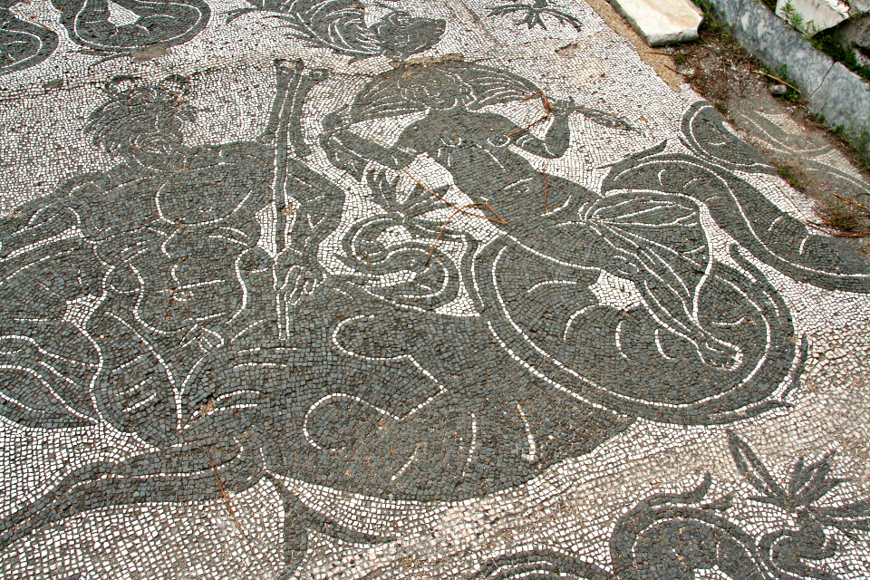 Tritone e Nereide, part. del mosaico del caldario