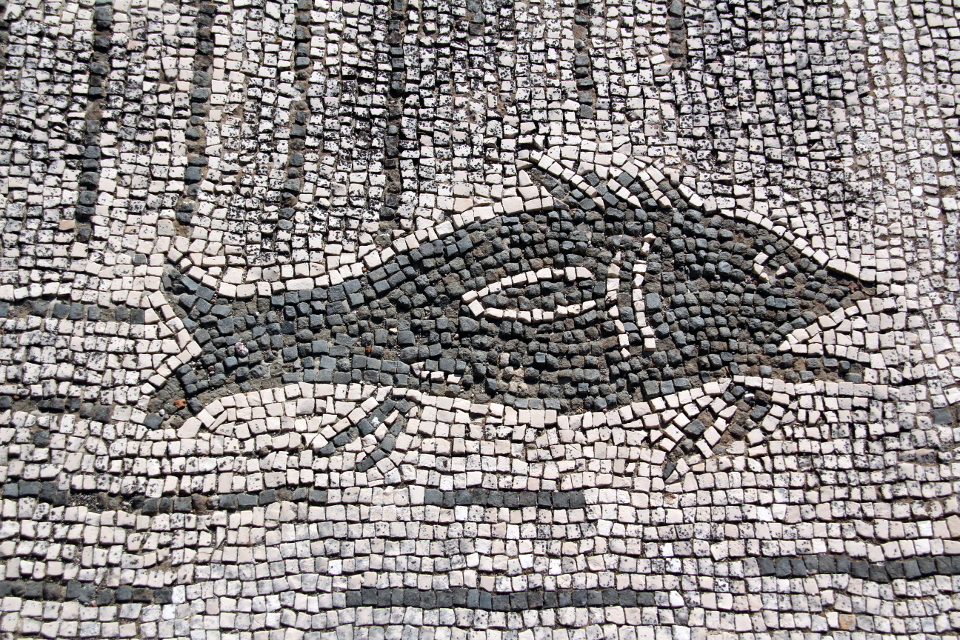 Particolare del mosaico dell'esedra
